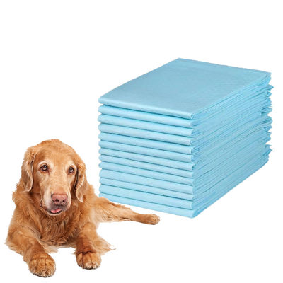 Artikelsoort PEE PADS 60 x 60 cm lekvrije onderfilm vervangende trainingsmat voor honden