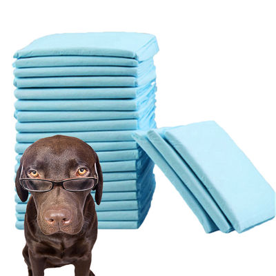 Huisdierreiniging Hoge absorptie Wegwerppuppy Training Pee Pad met CE ISO-certificaat