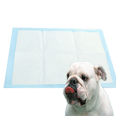 Eenmalige huisdierenbedden voor honden in zwart wit blauw en groen
