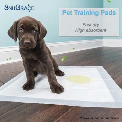 SNUGRACE Hondenpissen Pad voor snelle Potty Training 600X350mm 600X450mm 600X600mm 900X600mm