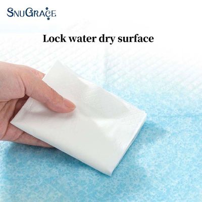 SNUGRACE ODM OEM Sample Gratis Wegwerp Honden Piss Pads Huisdier Training Pad 60x90 voor Katten