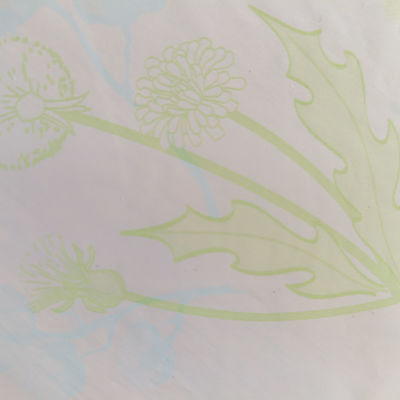 Breathable PE Backsheet film voor aanpasbare kleurrijke print luier grondstof