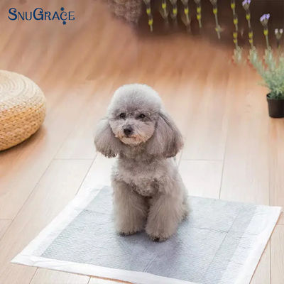 SnuGrace Huisdier Urine Pads van XS-XXXL Groottes Fluff Pulp SAP Nonwoven Fabric Tissue PE