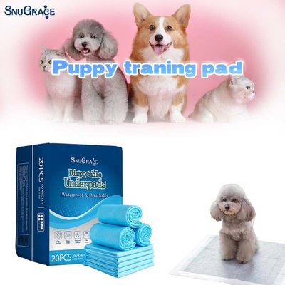 SnuGrace Pet Pissing Mat High Absorption Training voor alle huisdieren Printed Design Special