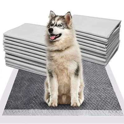CE ISO gecertificeerde blauwe SnuGrace honden plasmat snelle absorptie en duurzame trainingsmat voor huisdieren
