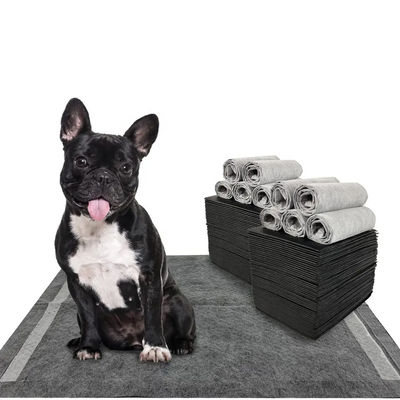 CE ISO gecertificeerde blauwe SnuGrace honden plasmat snelle absorptie en duurzame trainingsmat voor huisdieren
