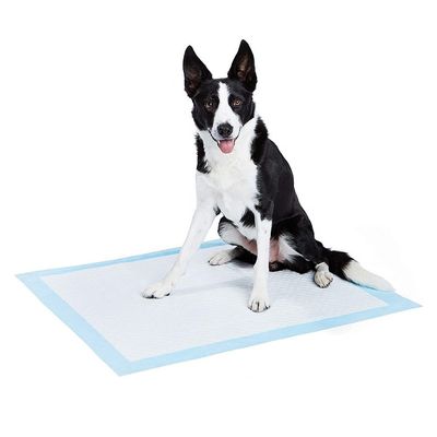 Gepersonaliseerde katoenen wegwerppad voor huisdierhuis training Wee Wee Pad in kleur