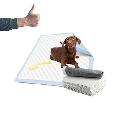 Gepersonaliseerde katoenen wegwerppad voor huisdierhuis training Wee Wee Pad in kleur