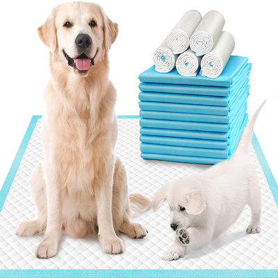 3D lekpreventie kanalen wegwerppadden onderkussens voor huisdieren voor honden en puppies