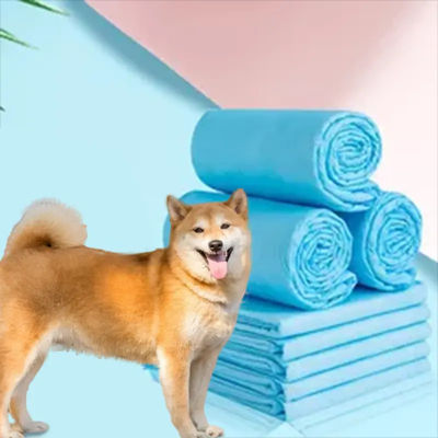Gepersonaliseerde 6Ply Pet Health Care Mat Wegwerp Training Pet Pad 60x60 voor gemakkelijke training