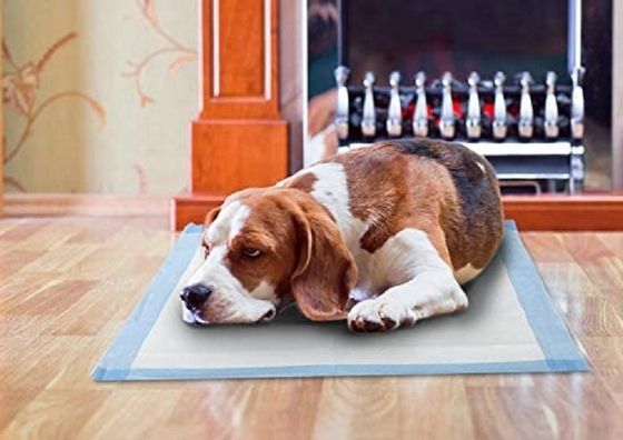 Incontinentie Pads Beddekken en Puppy Training Pads met vrij aangeboden monsters