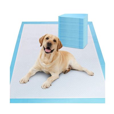 Vrij aangeboden monsters OEM/ODM Huisdier toilet plaskussens voor puppy training en slapen