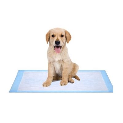 Vrij aangeboden monsters OEM/ODM Huisdier toilet plaskussens voor puppy training en slapen