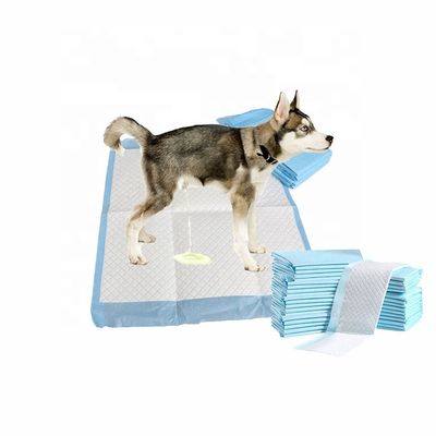Vrij aangeboden monsters OEM/ODM Huisdier toilet plaskussens voor puppy training en slapen