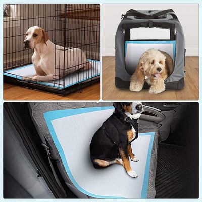 Vrij aangeboden monsters OEM/ODM Huisdier toilet plaskussens voor puppy training en slapen