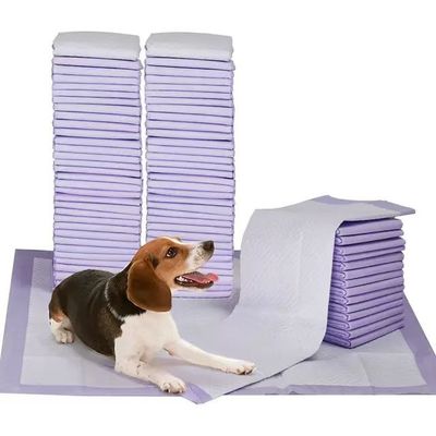 Vrij aangeboden biologisch afbreekbare monsters hond puppy extra groot huisdier kat hond training puppy pads
