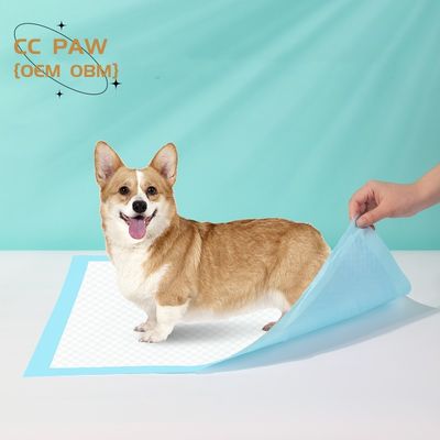 Eco-vriendelijk biologisch afbreekbaar trainingsbed voor huisdieren voor honden katten dieren in maten XS-XXXL