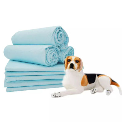 PE-producten voor het trainen van huisdieren Extra grote wegwerppadjes voor huisdieren voor het trainen van puppy-puttys