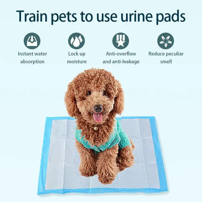 Fluff pulp SAP Niet-geweven weefsel Tissue PE Waterdicht Huisdier Mat Luier voor puppy training