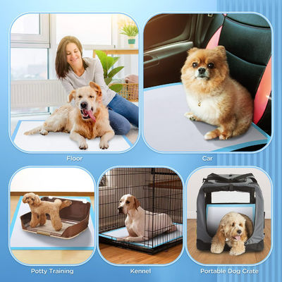 Fluff pulp SAP Niet-geweven weefsel Tissue PE Waterdicht Huisdier Mat Luier voor puppy training