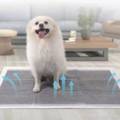 Puppy Training Pet Toilet Pee Pads met Sandia of Sumitomo SAP en aangepaste kleur