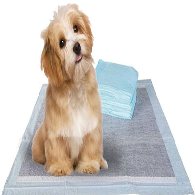 Puppy Training Pet Toilet Pee Pads met Sandia of Sumitomo SAP en aangepaste kleur