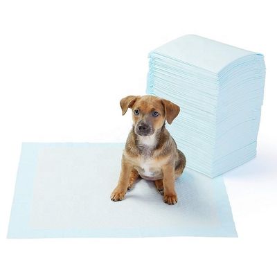 Persoonlijke kleuren wegwerppad voor huisdieren voor honden Sanitaire pads Gratis monsters aangeboden