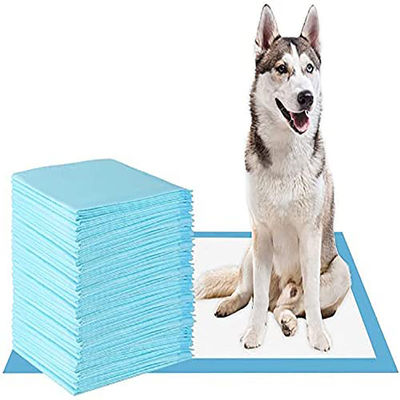 60*45/60*60/60*90cm Deodorant SAP Pet Pee Pad voor Potty Urine Training SML XL XXL