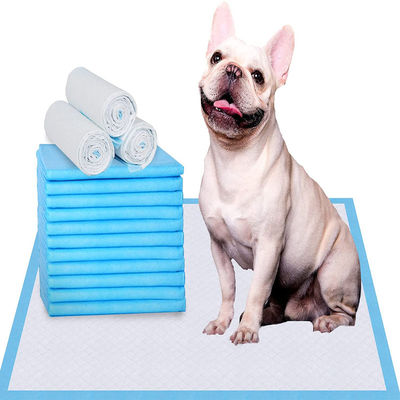 60*45/60*60/60*90cm Deodorant SAP Pet Pee Pad voor Potty Urine Training SML XL XXL