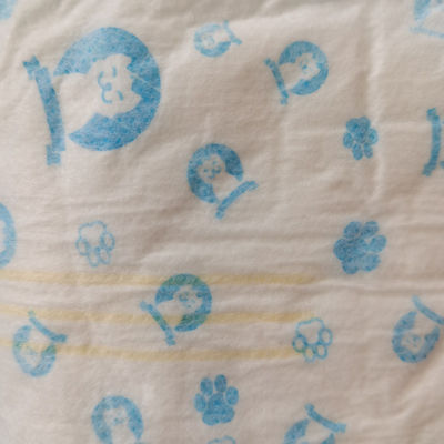 Gepersonaliseerde kleuren wegwerpluiers voor honden Magische tapes en absorptie