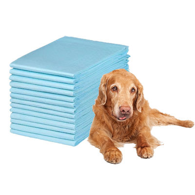 Huisdier plastrainingskussens Ultra-absorberende luiers voor effectieve incontinentie-training