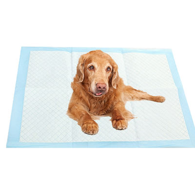 Extra grote hondenurine-trainingsblokjes voor puppies Blauw CE ISO-gecertificeerd