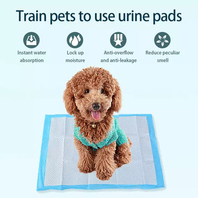 45x60cm Pet Pee Pad 5 laag absorberend honden- en puppy trainingspad geschikt voor alle huisdieren