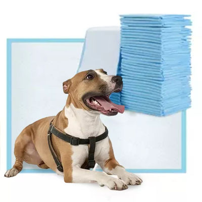 45x60cm Pet Pee Pad 5 laag absorberend honden- en puppy trainingspad geschikt voor alle huisdieren