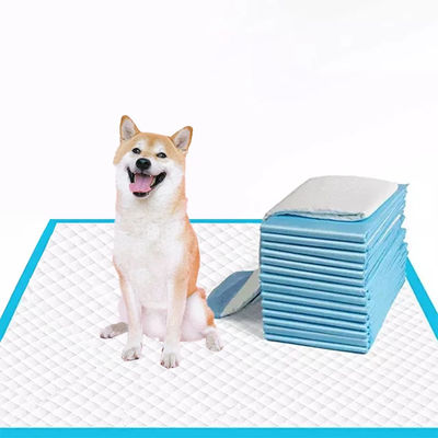 Blauw 5-lagig wegwerpbedekking voor kleine, middelgrote of grote honden