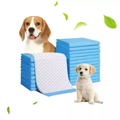 72 Sterke zuigbekers Pet Pad 60x90cm Absorberend Pad voor honden/katten/konijnen training