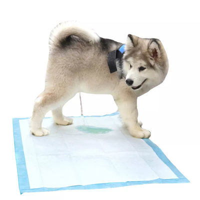 Huisdierenpotty-trainingskussens voor honden Wegwerpbedrijf voor huisdieren met absorptie op het droge oppervlak