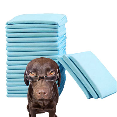 600X350mm waterdicht huisdier mat luier voor honden plas training Gemaakt van vezel materiaal