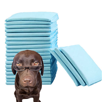 Kleine dieren Vijflaagse superabsorberende trainingspad voor huisdieren