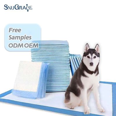 OEM/ODM Custom Pet Pee Pads voor puppy training 600X350mm 600X450mm 600X600mm 900X600mm