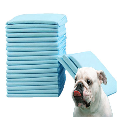 Kleine dieren Huisdiertrainingsblok voor urine-absorptie en behendigheidstraining