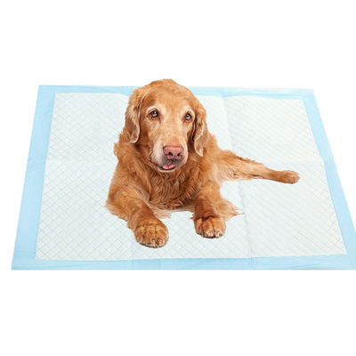 Op maat gemaakte label puppy training pads met breekbaar ontwerp en lekvrije functie