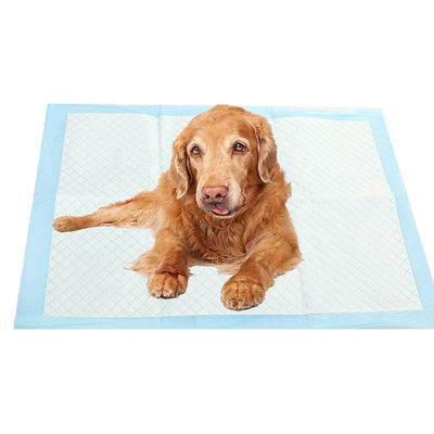 Huisdier Honden Urine Pad Kleine dieren Lengte X Breedte mm 600X350 600X450 600X600 900X600