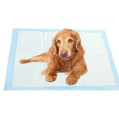 OEM-service ondersteunde puppy training hond huisdier toilet plaskussens met vezels en artikeltype
