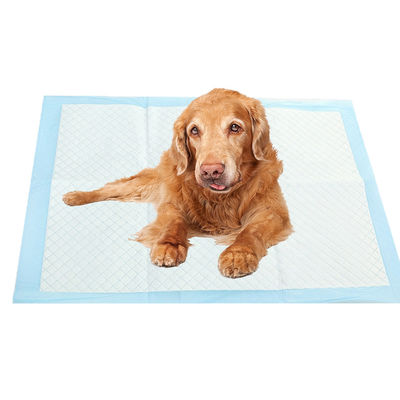 Huisdieren Kleedbedden Ultra Absorberende luiers Mat voor honden en katten Pee Training Incontinentie