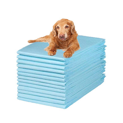 Reiniging voor huisdieren Eenmalige absorberende urinemiddelen voor puppy training Hoge absorberende honden luier