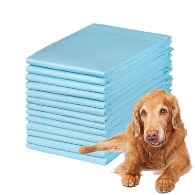 600X350 600X450 600X600 900X600 Urinal Pads voor puppy dog pee training Gratis monster