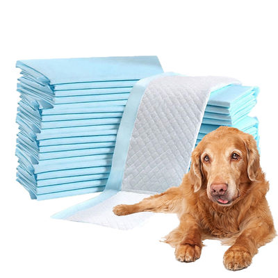 600X350mm 600X450mm 600X600mm 900X600mm Fluff Pulp en SAP Dog Pee Pad voor Absorptie