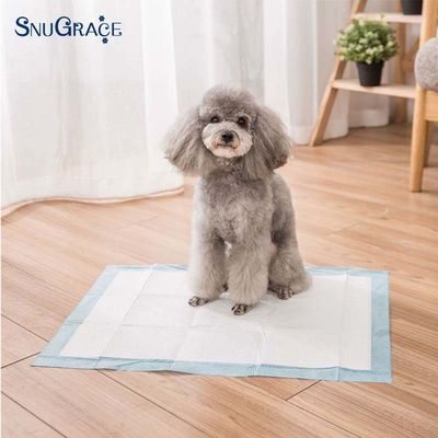Hoge absorptie 900X600 Wegwerppillen voor honden 600X350