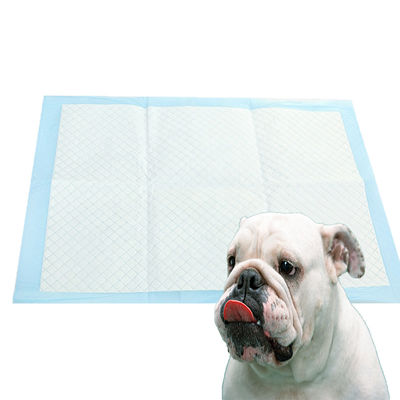 Breathable PE Back Film Black Pet Pee Pads voor honden Anti-slip en super absorberend